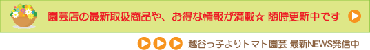 越谷っ子トマト園芸ページへリンク