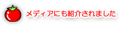 メディア