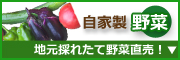 自家製野菜