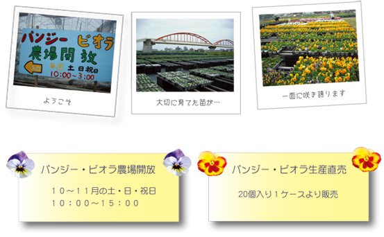 バンジー写真2