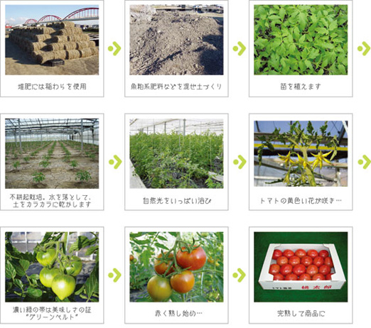 こだわりトマト