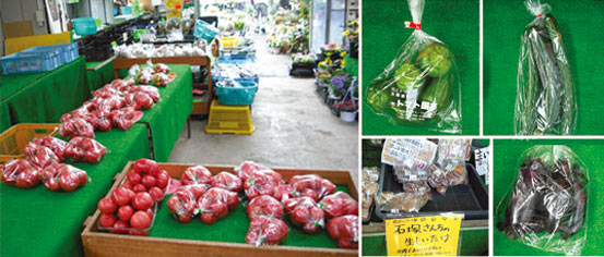 野菜写真1
