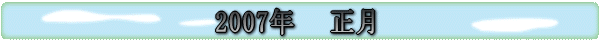 2007N     