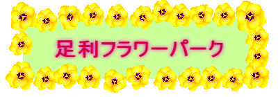 t[p[N