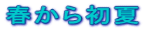 t珉