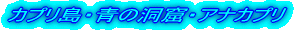 JvE̓AEAiJv