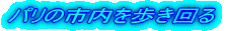 p̎s
