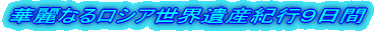 ؗȂ郍VAEYIsX
