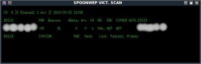 BackTrack 4 spoonwep