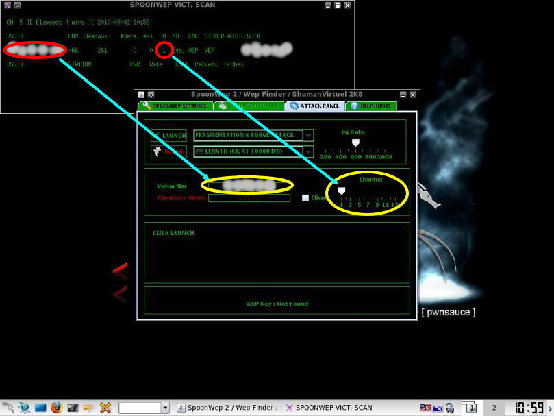BackTrack 4 spoonwep