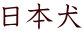 日本犬