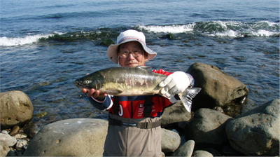 １０月１日箸別川河口サケ１ 釣れ釣れなるままに北海道