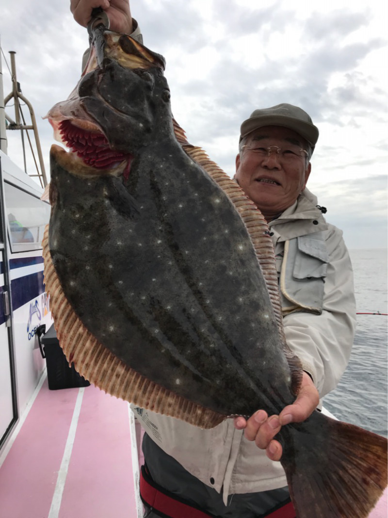 趣味の釣り 親切な釣宿