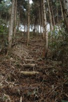 林道終点より稜線への木の階段
