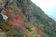 西稜から弥山下の紅葉