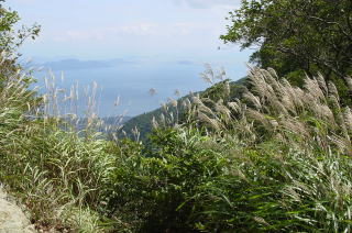金糞峠からの琵琶湖