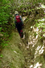 掘割の登山道２