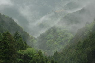 新緑の山、銅山峰ヒュッテを望む