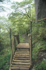 登山道の鹿避けの橋？