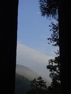 朝靄と月　作品風