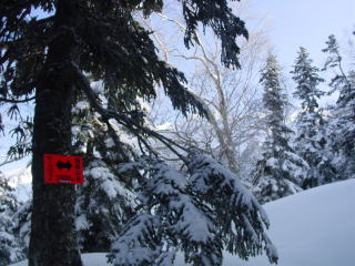 山荘まで５００mの標識