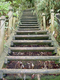 竜神平への階段