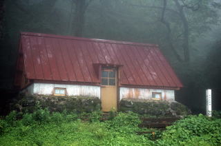 濃霧の中の愛大小屋　１１：２４