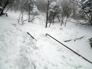 雪に埋もれた鉄バシゴ
