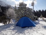 徳島グループのテント