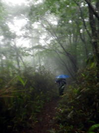 豪雨の登山道