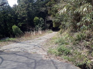 花山への林道入り口　１２：５８