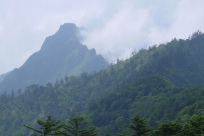 雲が湧いてきた石鎚山