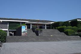 Jeju folk & natural museum