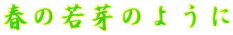 ˂Ƃ[
