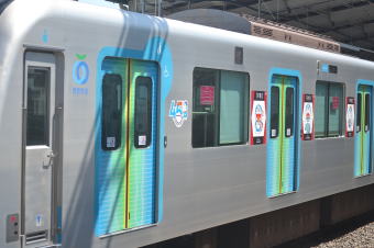 �����S�O�O�O�O�n