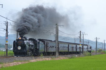 cTPSXW