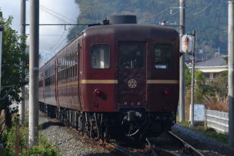 SPQn