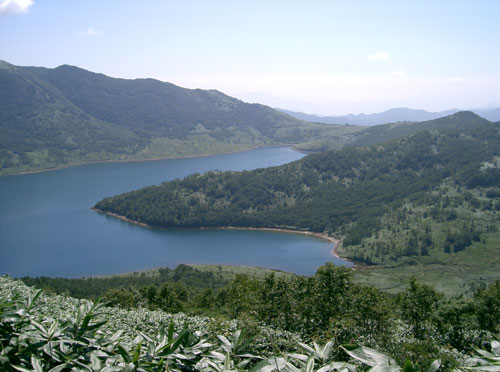 nozoriko-16