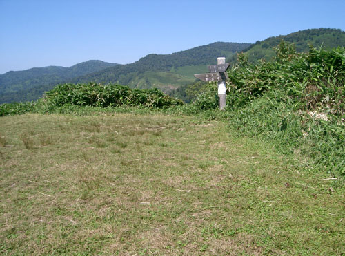 nozoriko-19