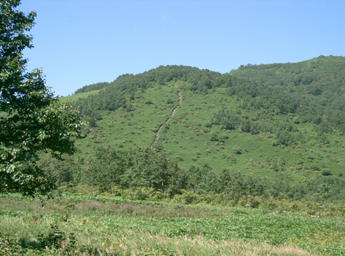 nozoriko-21