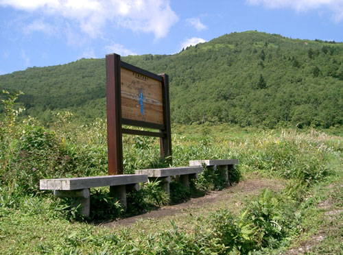 nozoriko-22