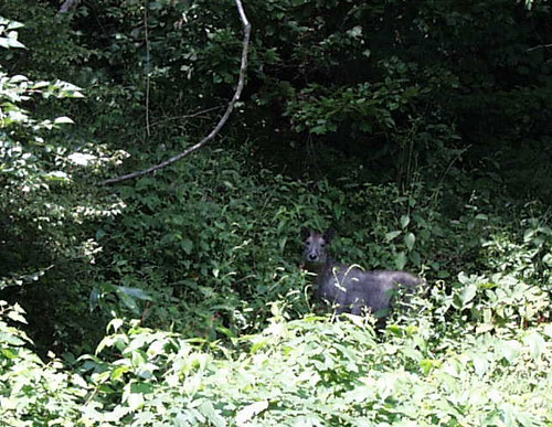 nozoriko-25