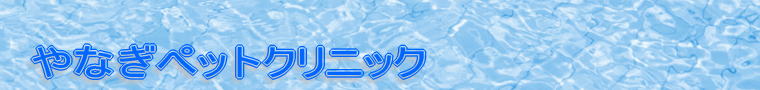 z[y[W ^Cg