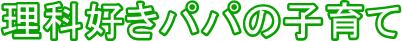 ȍDpp̎q
