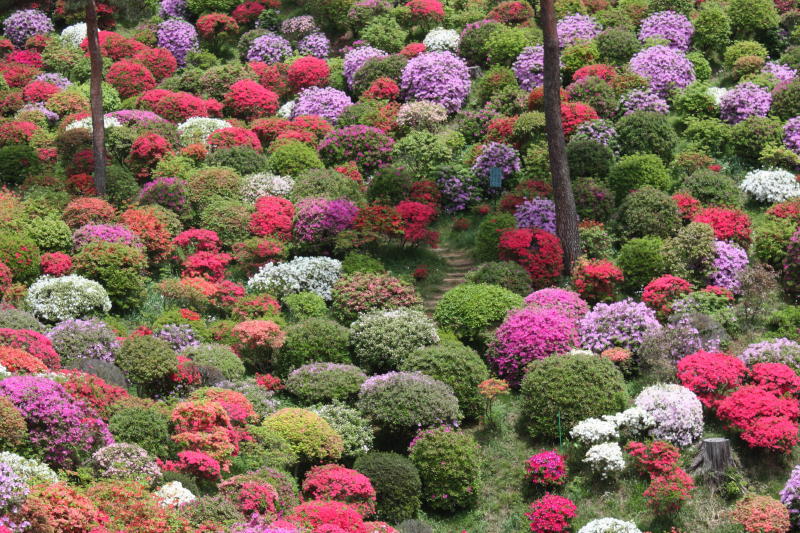 この 山 は 室町 時代 の はじめ 清川 村 煤 ヶ 谷 に ある 正 住寺 臨済 宗 鎌倉 建長寺