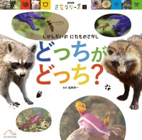本の表紙