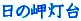 ̖