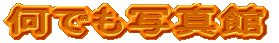 łʐ^