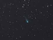 ison