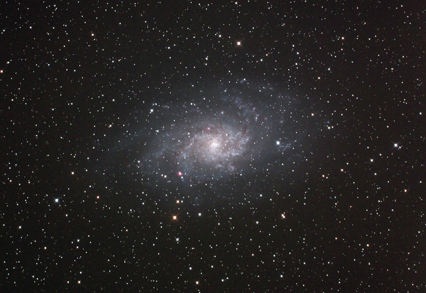 M33